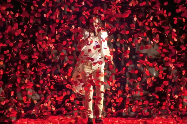 																																							<h5>Gianna Nannini - Stadio olimpico Rome</h5>
																									